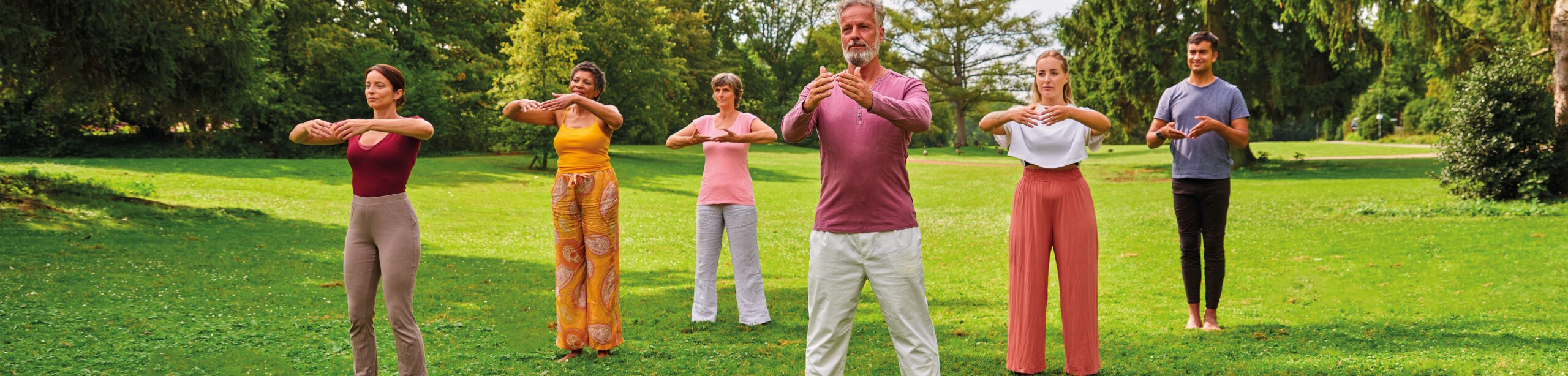 Gruppe von Teilnehmern die auf einer grünen Wiese Qigong praktizieren.